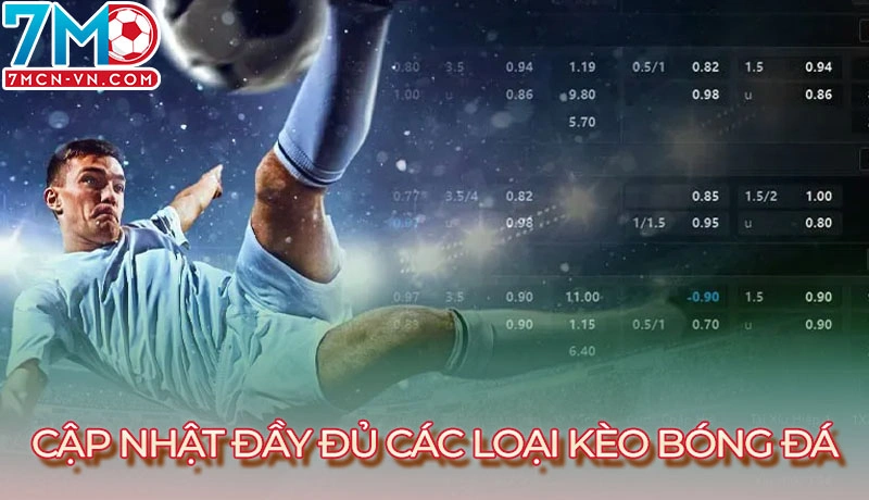 Tỷ lệ kèo 2 Cập nhật đầy đủ các loại kèo bóng đá phổ biến