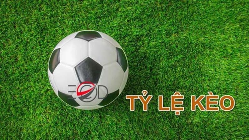 Tỷ Lệ Kèo Ma Cao - Cập Nhật Nhanh, Chính Xác Nhất 3 Nắm bắt quy định là yếu tố quan trọng